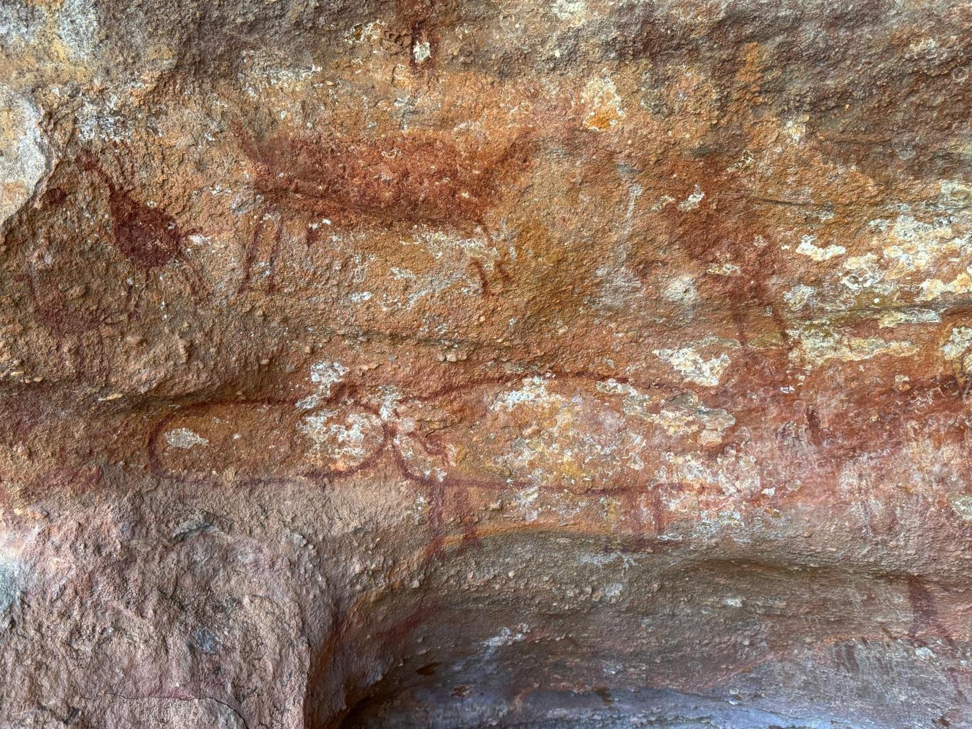 Casa Barreirinho Parque Nacional Serra Da Capivara Coronel Jose Dias Esterno foto