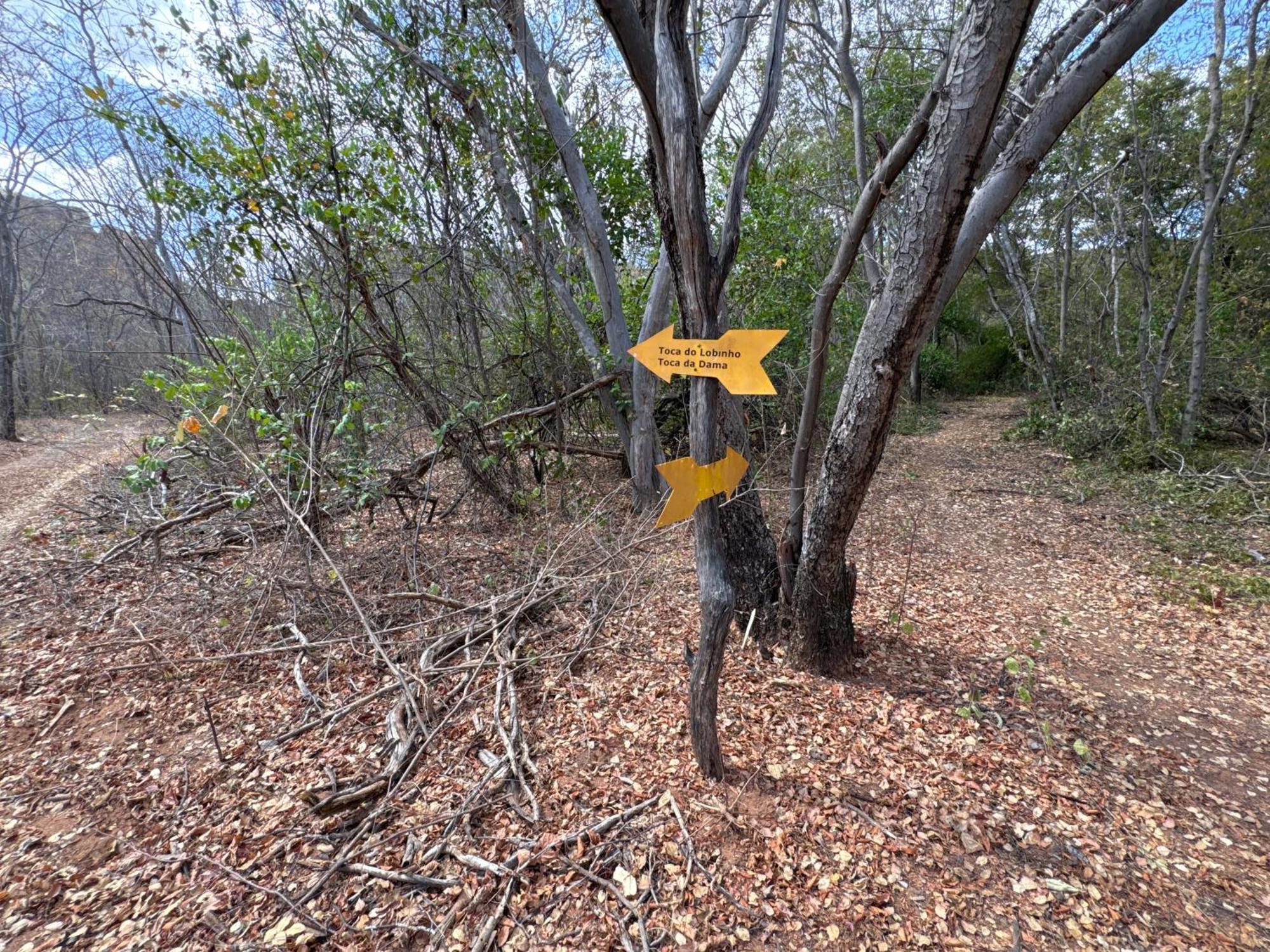 Casa Barreirinho Parque Nacional Serra Da Capivara Coronel Jose Dias Esterno foto