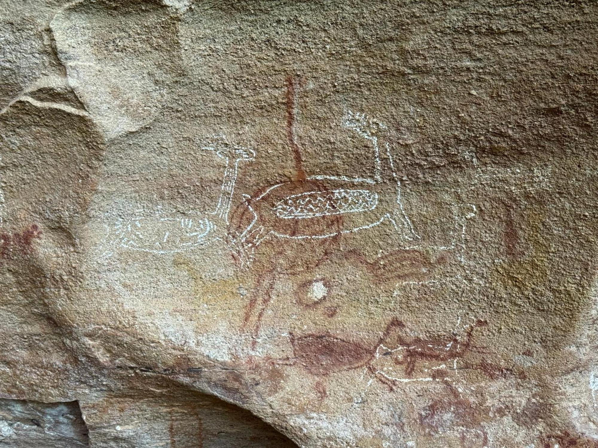 Casa Barreirinho Parque Nacional Serra Da Capivara Coronel Jose Dias Esterno foto