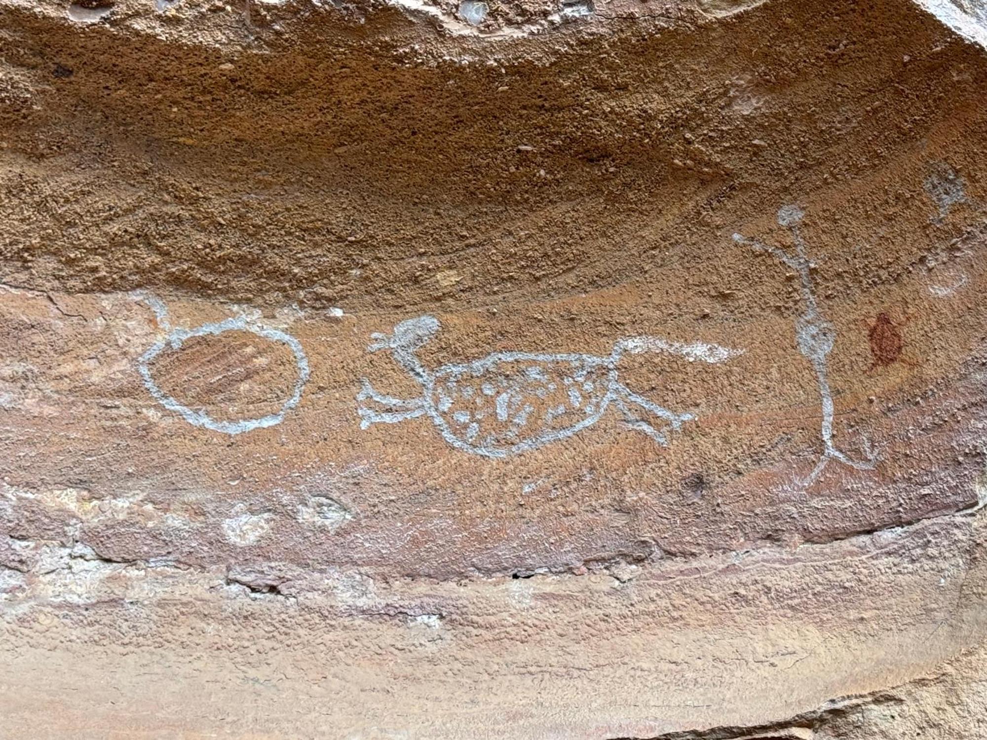 Casa Barreirinho Parque Nacional Serra Da Capivara Coronel Jose Dias Esterno foto