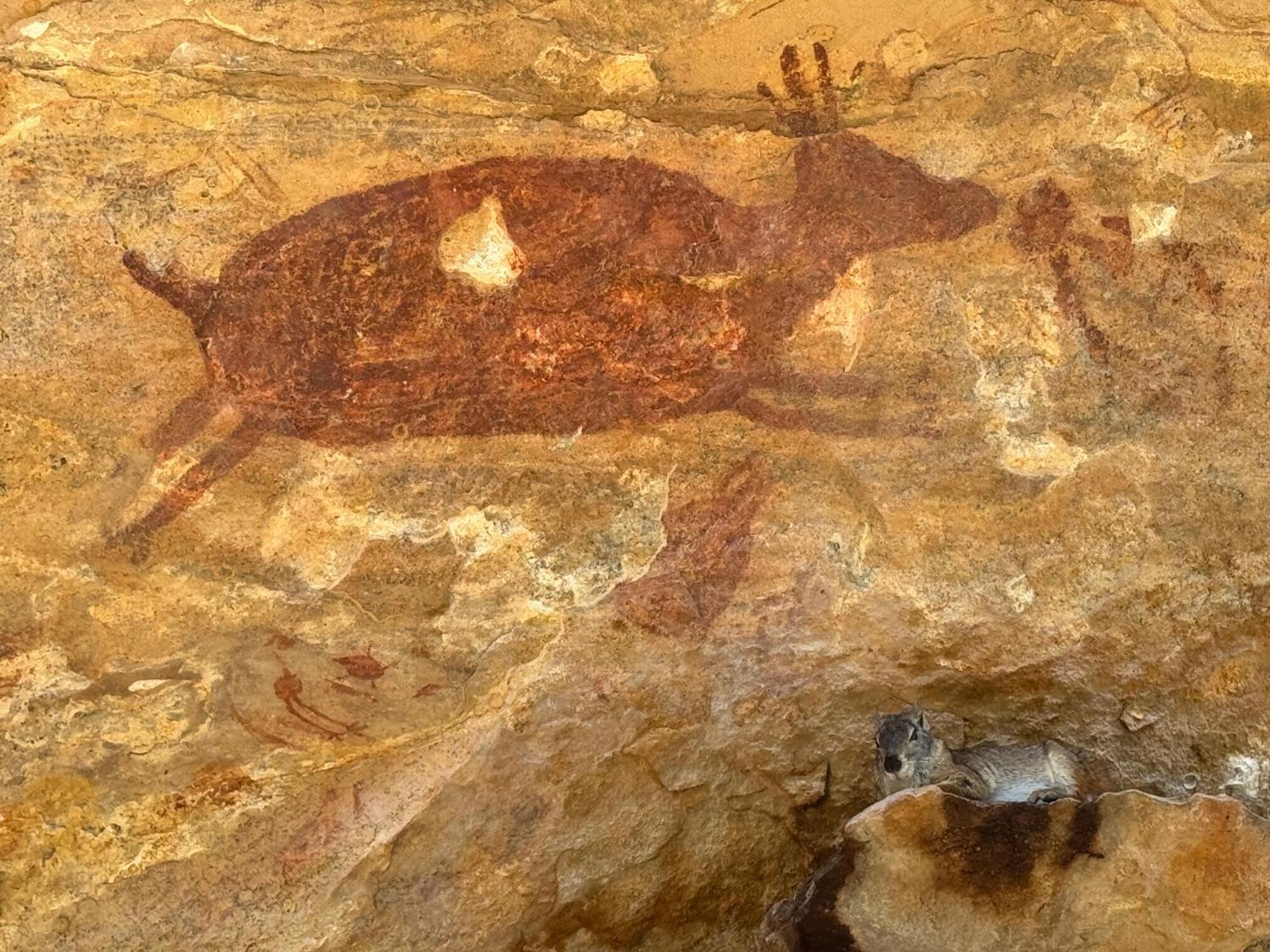 Casa Barreirinho Parque Nacional Serra Da Capivara Coronel Jose Dias Esterno foto